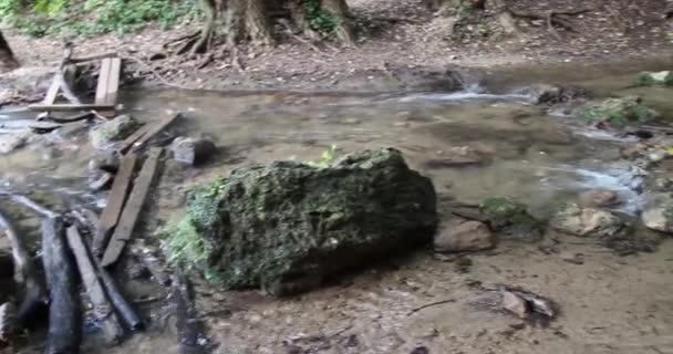 Dziki wodospad — Wideo stockowe