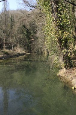 Doğal manzara, doğa ve vahşi doğayla çevrili berrak nehrin şeffaflığı arasında.