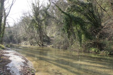 Doğal manzara, vahşi doğa her zaman çok özel detaylar ve birçok renk sunar.