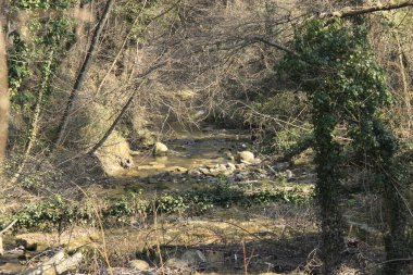Doğal manzara, vahşi doğa her zaman çok özel detaylar ve birçok renk sunar.