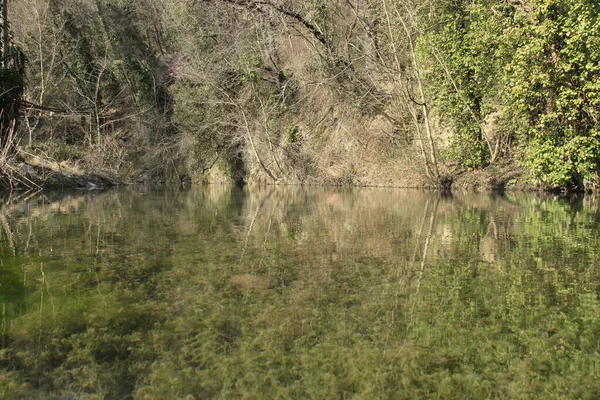Peisaj Natural Între Natură Transparența Râului Limpidic Înconjurat Natură Sălbatică — Fotografie, imagine de stoc