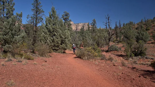 Persoon Een Trail Fiets Woestijn Van Arizona — Stockfoto