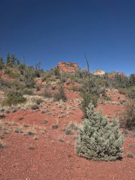 Kleurrijk Landschap Van Arizona Woestijn — Stockfoto