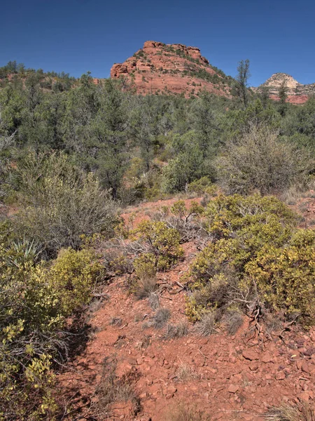 Felsige Landschaft Der Wüste Von Arizona — Stockfoto