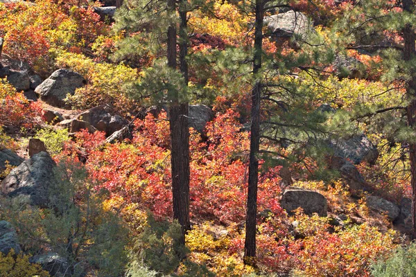 Colorato Pendio Montagna Nel Nord Dell Arizona — Foto Stock