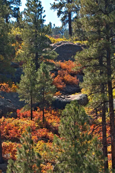 亚利桑那州北部山区美丽的色彩 — 图库照片