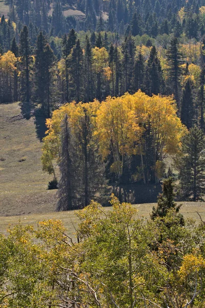 Bir Dağ Geçidinden Rengarenk Sonbahar Renklerine Bakıyorum — Stok fotoğraf
