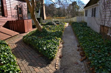 Sarmaşıklar, restore edilmiş eski evler arasındaki geçitte.