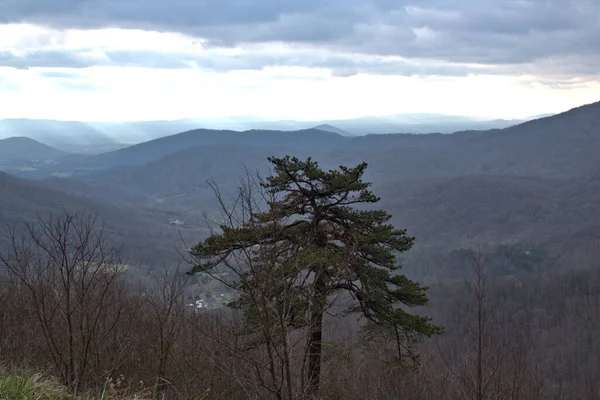 Silhueta Árvores Contra Paisagem Appalachia — Fotografia de Stock