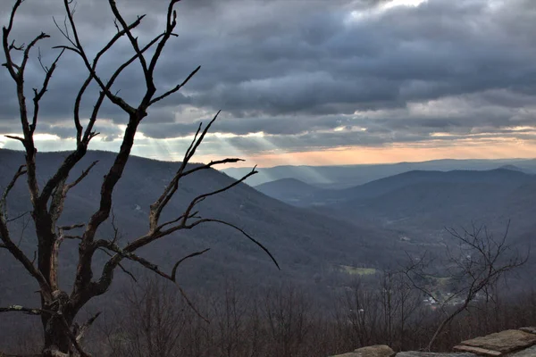 Silhouette Trees Appalachia Landscape — Stock Photo, Image