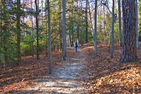 Vrouw Die Geniet Van Het Herfstweer Een Wandelpad Virginia — Stockfoto