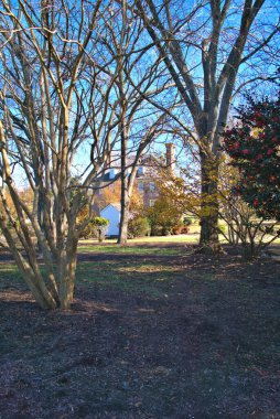 Tarihsel bir evi çevreleyen güz ağaçları