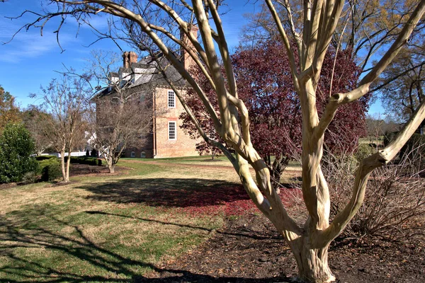 Ευκάλυπτος Δέντρο Στην Διαμορφωμένη Αυλή Της Βιρτζίνια Ιστορικό Σπίτι — Φωτογραφία Αρχείου
