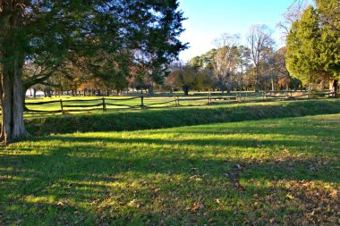 Gün batımında, yapraklar ve çimenler üzerinde gölgeler olan sonbahar manzarasında çitleri yardık.