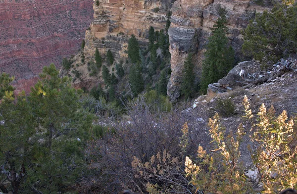 Cores Bonitas Nas Sombras Grand Canyon — Fotografia de Stock