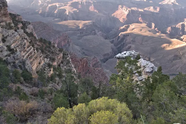 Grand Canyon Landschaft Mit Viel Grün Und Felsigem Gelände — Stockfoto