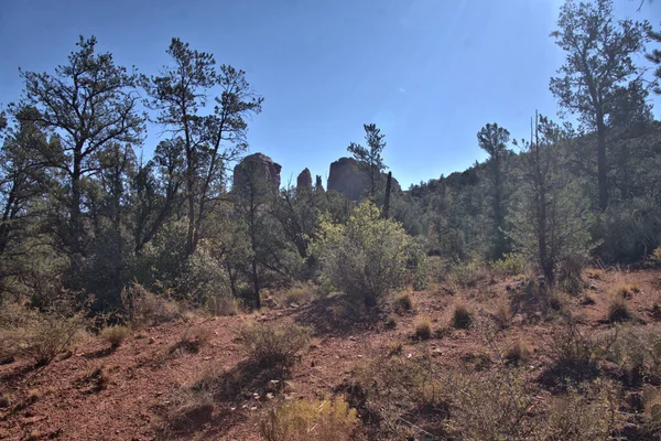 Wandelen Baldwin Trail Bij Cathedral Rock Sedona — Stockfoto