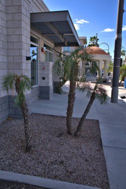 Güneybatı Arizona şehir merkezi manzarası