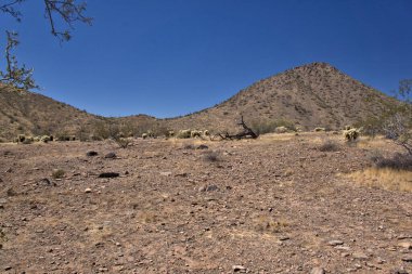 Scottsdale, Arizona yakınlarındaki Kayıp Köpek Patikası 'nda Rocky yürüyüş parkuru.