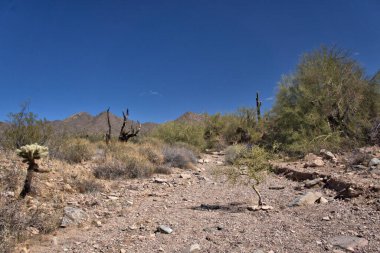 Scottsdale, Arizona yakınlarındaki Kayıp Köpek Patikası 'nda Rocky yürüyüş parkuru.