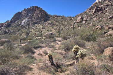 Arizona 'nın çöl kayalık dağ manzarası