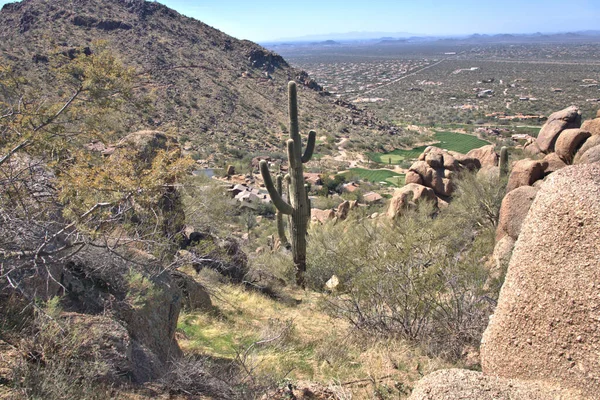 Vue Depuis Sentier Pinnacle Peak Scottsdale Arizona Sur Terrain Golf — Photo