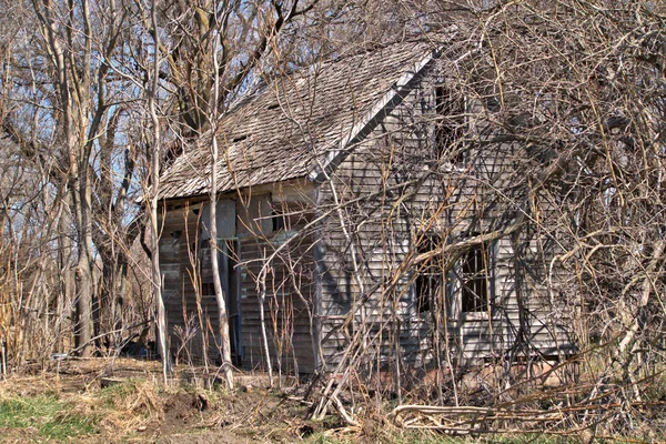 Заброшенный Маленький Фермерский Дом Окруженный Деревьями Кустарниками — стоковое фото