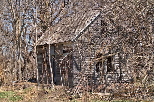 Övergiven Liten Gård Hem Omgiven Träd Och Buskar — Stockfoto