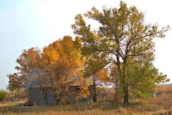 Couleurs Automne Avec Récolte Automne Entoure Bâtiment Ferme Avec Des — Photo