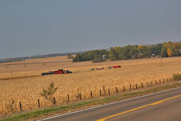 Raccolta Mais Autunnale Nel Nebraska Rurale Con Mietitrebbie Rimorchi Mais — Foto Stock