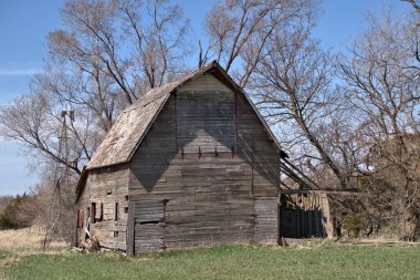 Su kaplumbağaları küçük bir göldeki kütüğün üzerinde oturuyorlar.