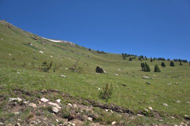 İlkbaharın başlarında bir dağın tepesindeki dik yamaca bakıyorum. Yanında yeşil çimlerle birlikte biraz kar var.