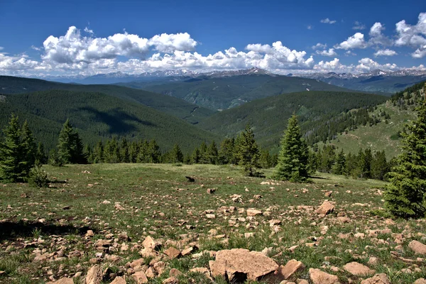 Drop Über Den Baumgrenzen Den Colorado Rocky Mountains Bei Bewölktem — Stockfoto