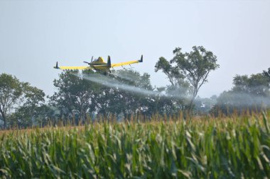 Alçak uçan ekin tozu mısır tarlalarına böcek ilacı uyguluyor.