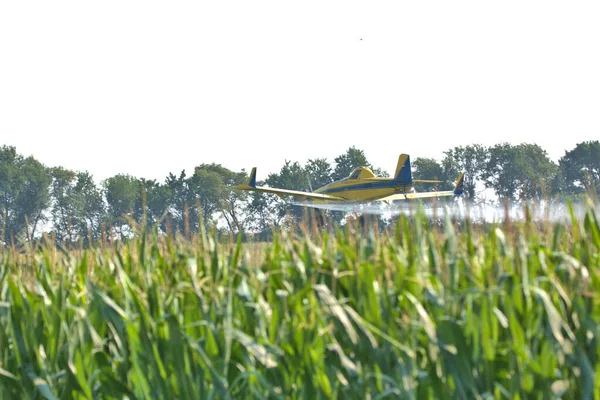 Low Flying Crop Duster Applying Insecticide Corn Fields — Stock Photo, Image