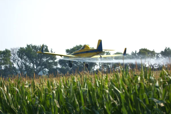 在玉米地上喷洒杀虫剂的低空作物粉碎机 — 图库照片