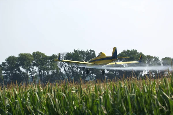 在玉米地上喷洒杀虫剂的低空作物粉碎机 — 图库照片
