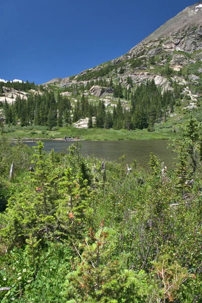 Man Muss Sich Fragen Wie Die Forelle Diesen Bergsee Gekommen — Stockfoto