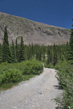 Dağ izleri dağın zirvesine doğru ilerliyor.