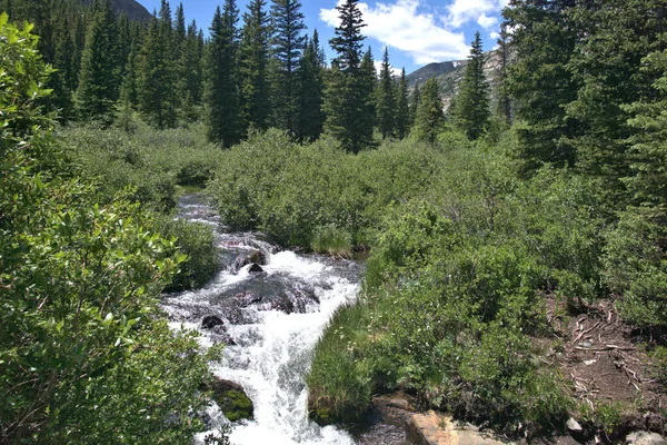 Rushing Mountain Stream Mountain Meadow — Stock Photo, Image