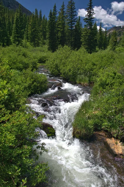 Bergbeekje Stroomt Door Rotsen Vegetatie Rocky Mountains — Stockfoto