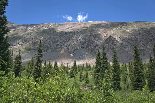 Almwiese Knapp Unterhalb Der Baumgrenze Den Rocky Mountains — Stockfoto