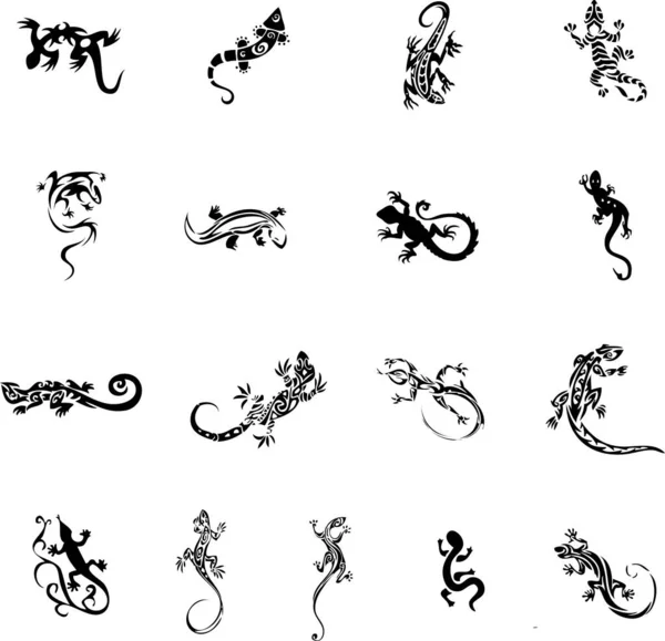 Hagedis Tatoeage Schetsen Vector Set — Stockvector