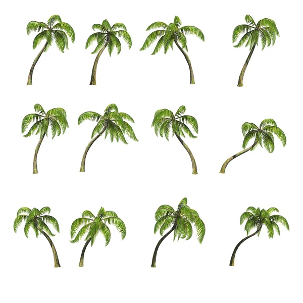 Шістнадцять пальмових дерев, 3D рендеринг — стокове фото