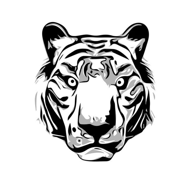 Cabeza de tigre — Vector de stock