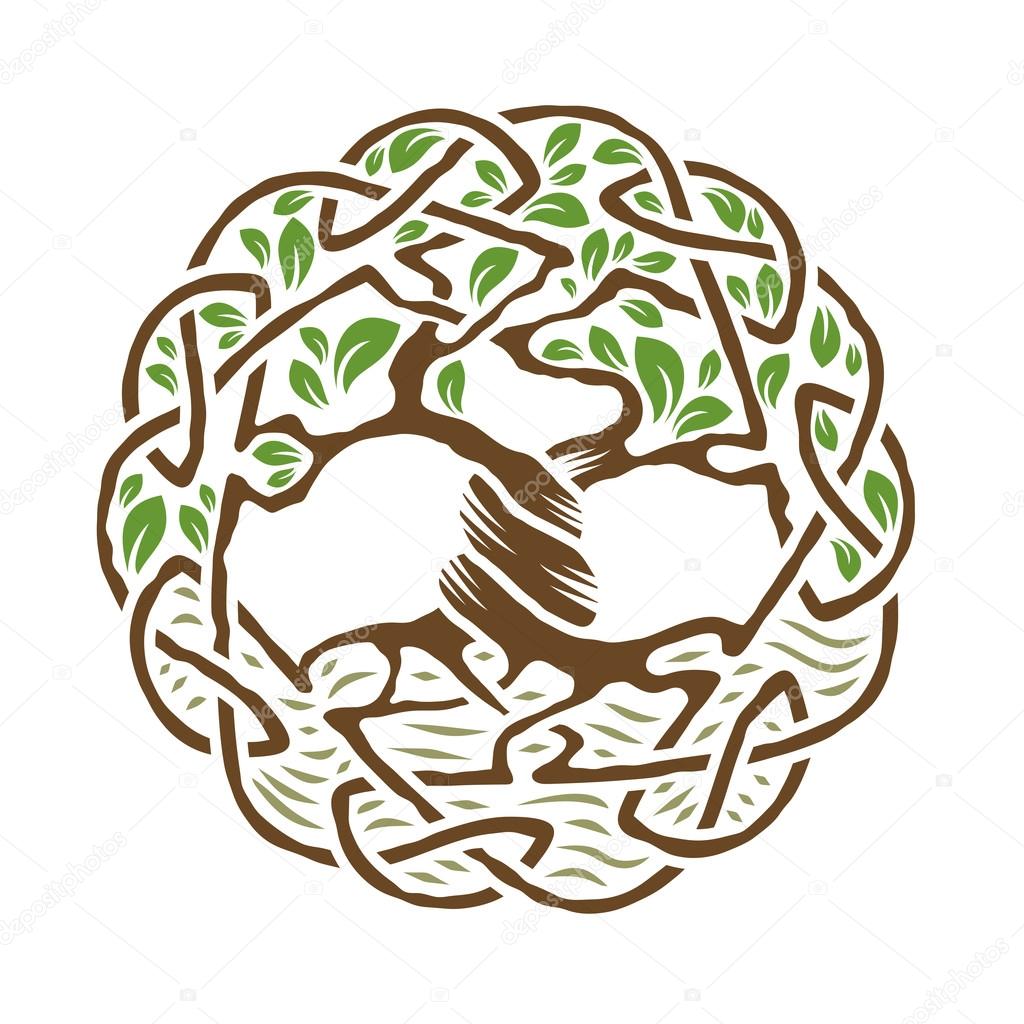 Illustration of celtic tree of life,  color version, vector illustration
