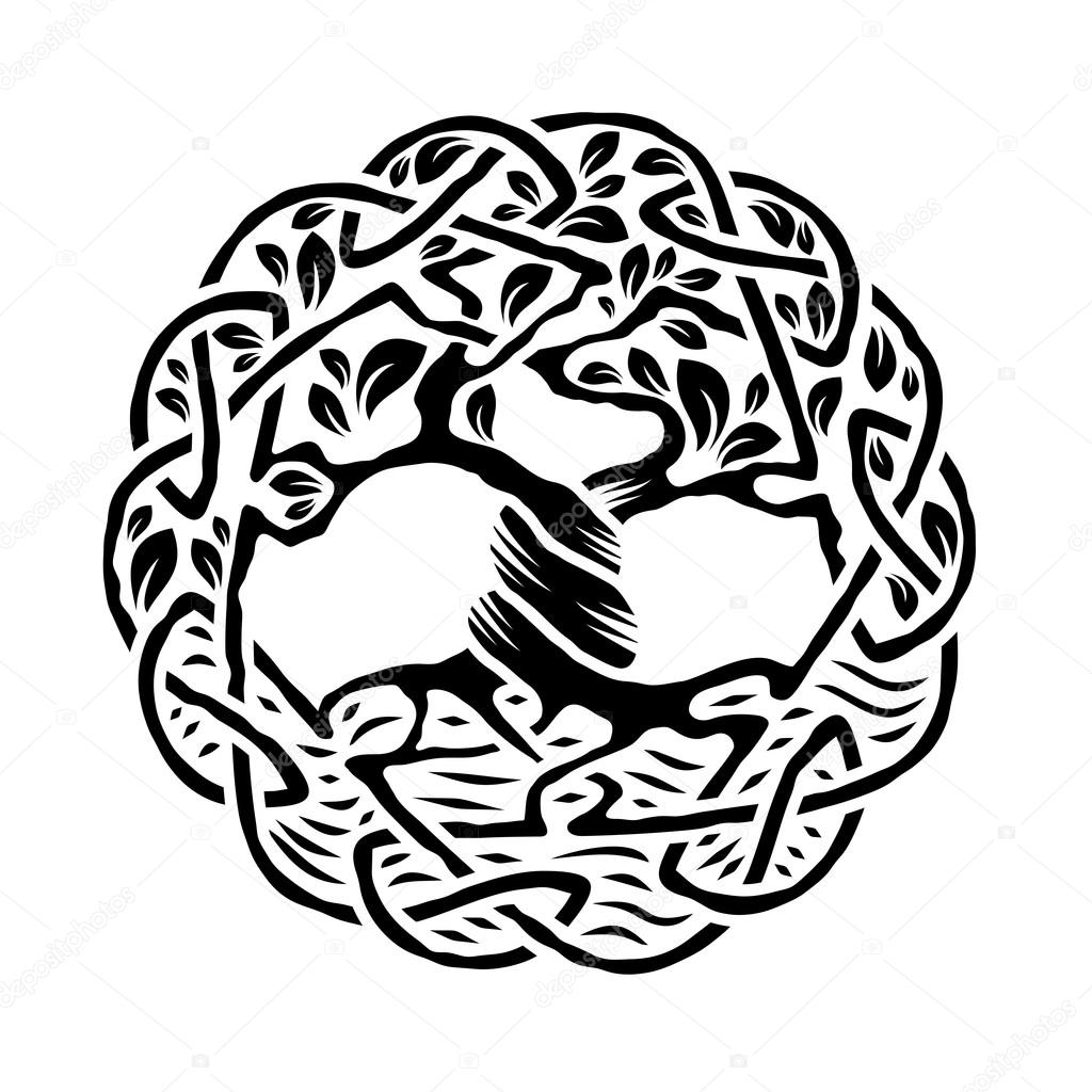 Illustration of celtic tree of life,  black and white version, vector illustration