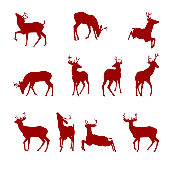 Forskellige silhuetter af hjorte – Stock-vektor