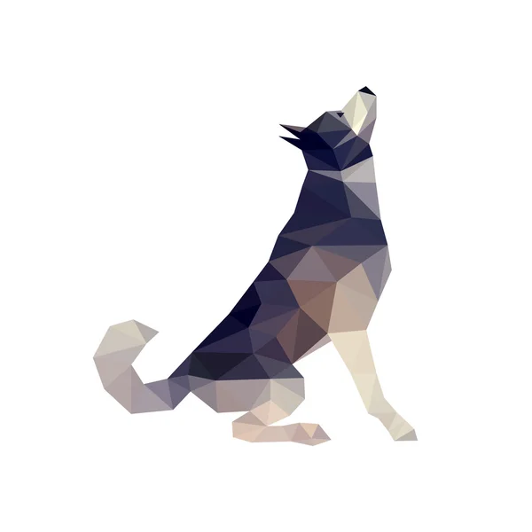 Husky hunden illustration — Stock vektor