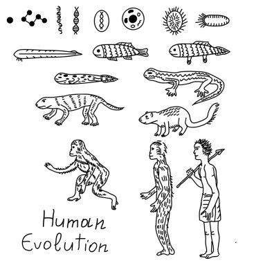 Human evolution illustration clipart